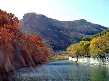 新澳天天开奖资料大全旅游团，绵羊养殖